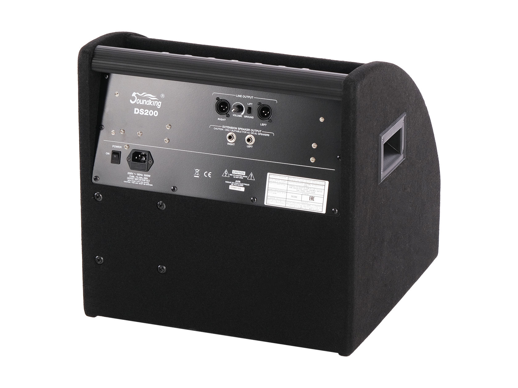 SOUNDKING DS200 Монитор для электронной ударной установки, 200Вт